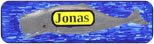 Jonas button